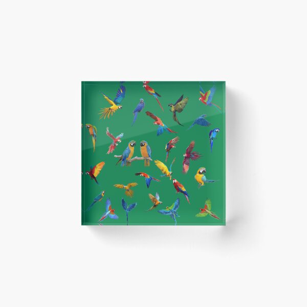 Item preview, Manny parrots photo design designed and sold by sreckov-desig.