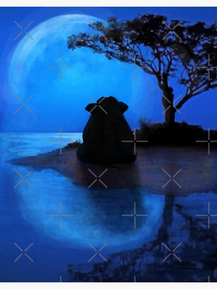 "RELATIVES OF THE NCIS elephant in the room ORIGINAL ISLAND SOLITUDE