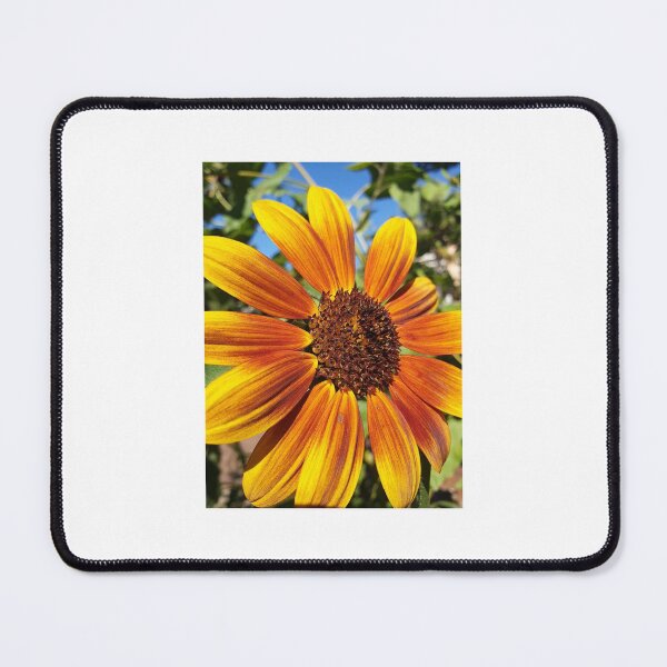 Item preview, Girasol designed and sold by CreativeBean101.