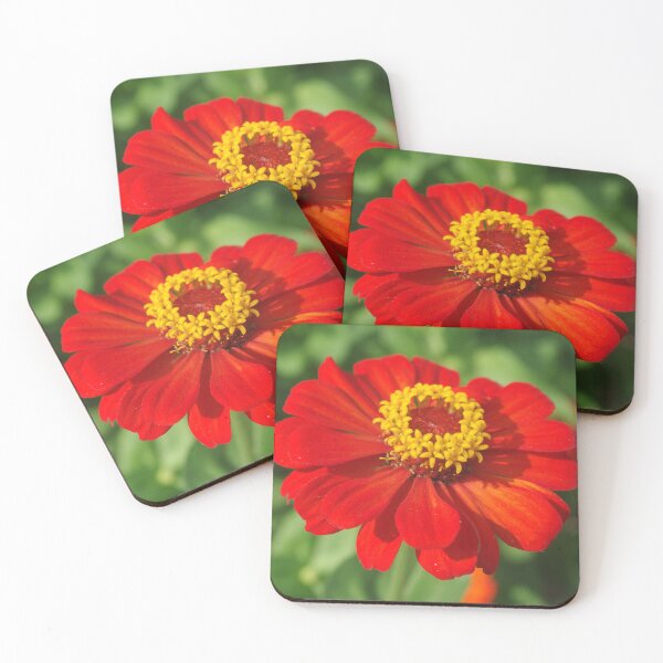 Item preview, Red Zinnia designed and sold by Rainy.