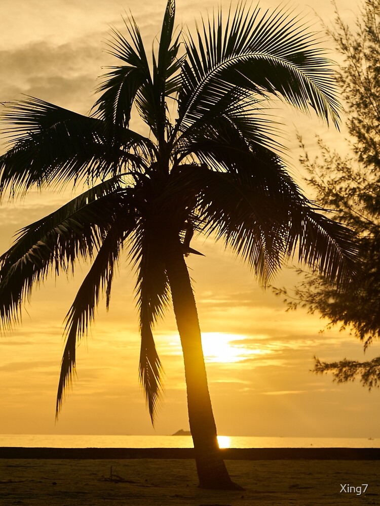 Dawn in the Bahamas by Xing7