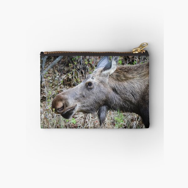 Item preview, Moose designed and sold by ADM  Photography.