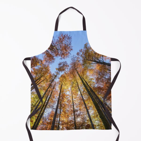 Item preview, Sun-drenched Autumn Trees designed and sold by rawshutterbug.