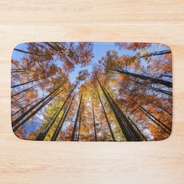 Item preview, Sun-drenched Autumn Trees designed and sold by rawshutterbug.