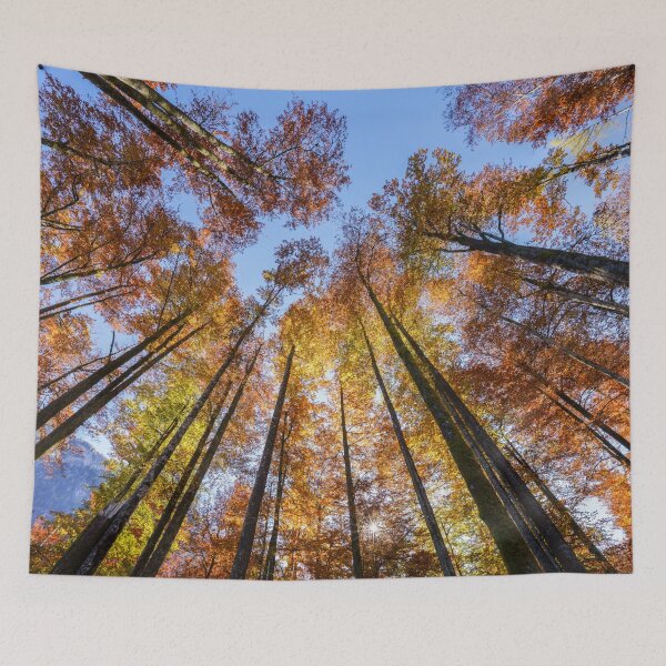 Item preview, Sun-drenched Autumn Trees designed and sold by rawshutterbug.
