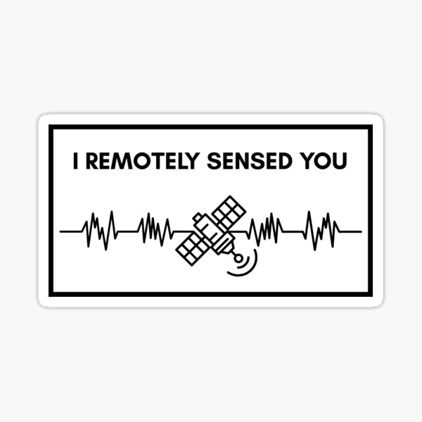 Item preview, I remotely sensed you designed and sold by Suzielie.