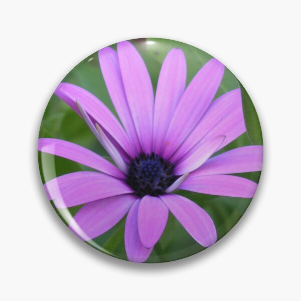 Artikelvorschau, Rosa Gänseblümchen entworfen und verkauft von CreativeBean101.