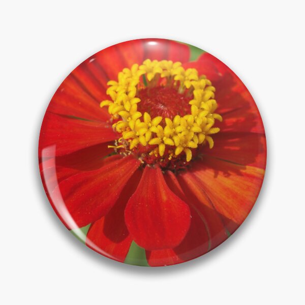 Artikelvorschau, Red Zinnia entworfen und verkauft von Rainy.