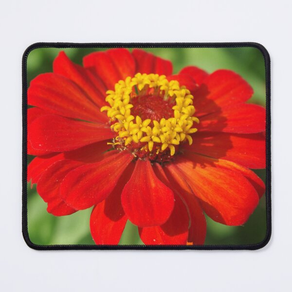 Item preview, Red Zinnia designed and sold by Rainy.