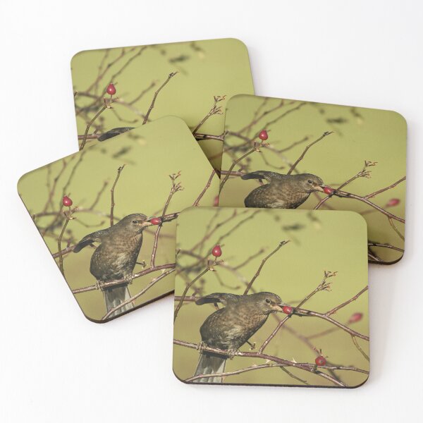 Item preview, Berry Hungry Blackbird designed and sold by rwhooster.
