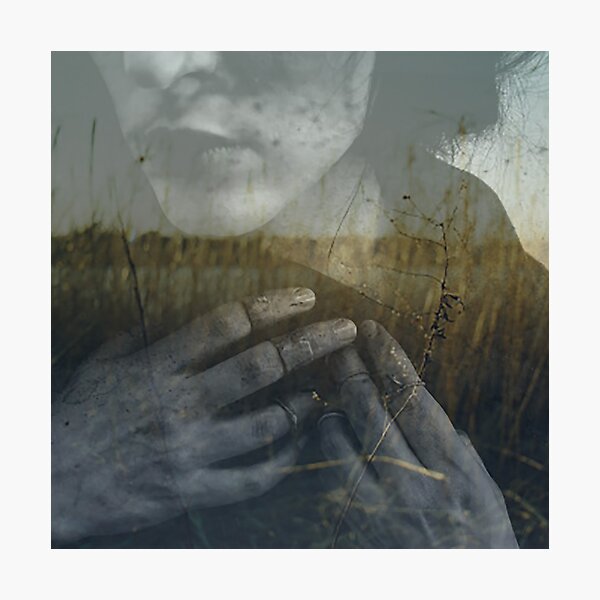Whisper Weeds Photographic Print