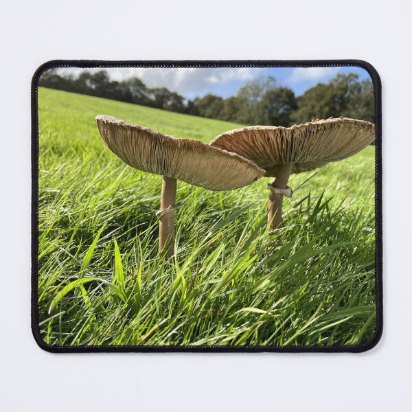 Item preview, Mushrooms designed and sold by KiahDesigns.