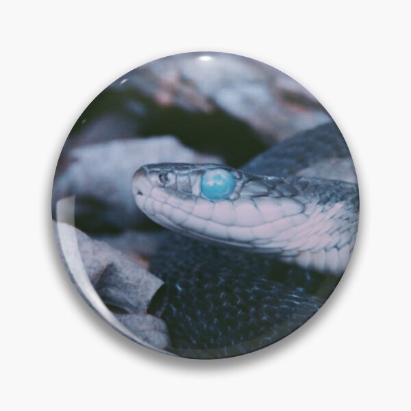 Item preview, Blue eyed snake  designed and sold by mkwirfs1994.