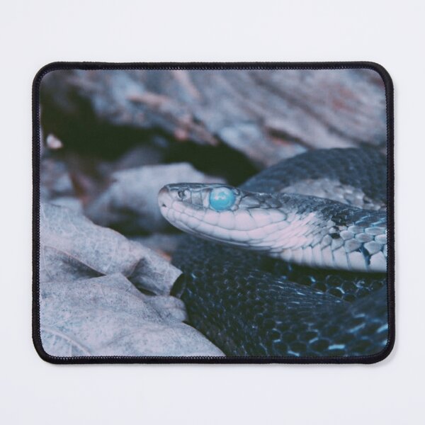 Item preview, Blue eyed snake designed and sold by mkwirfs1994.