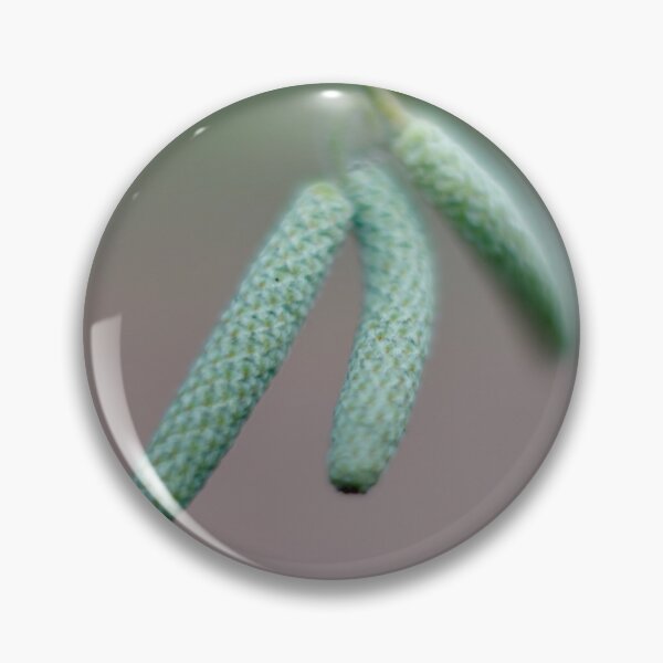 Item preview, hazel catkins designed and sold by werflow-.