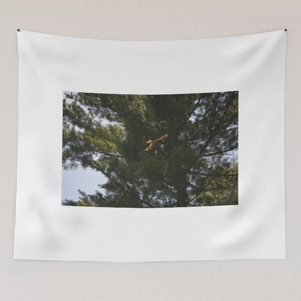 Item preview, Gliding Hawk designed and sold by enchantedvibes.