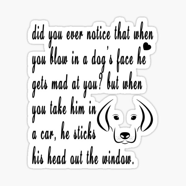 "did you ever notice that when you blow in a dog’s face he gets mad at