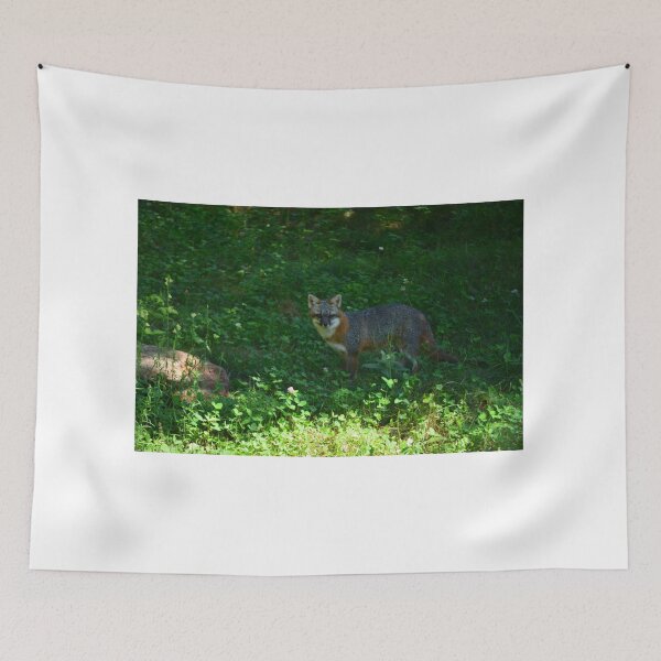 Item preview, Gray Fox designed and sold by enchantedvibes.