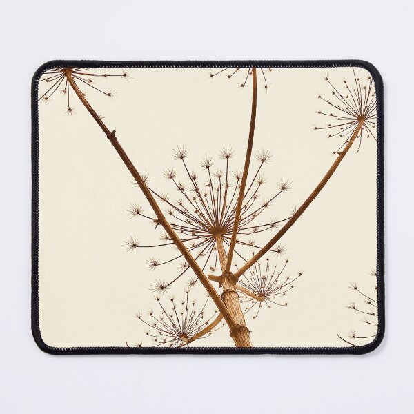 Item preview, Brown shade hogweed plant.  designed and sold by Jonnekesart.