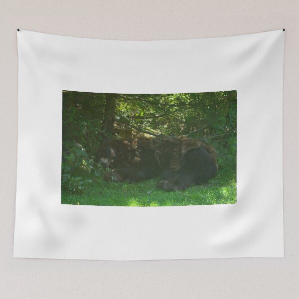 Item preview, Bear Nap designed and sold by enchantedvibes.