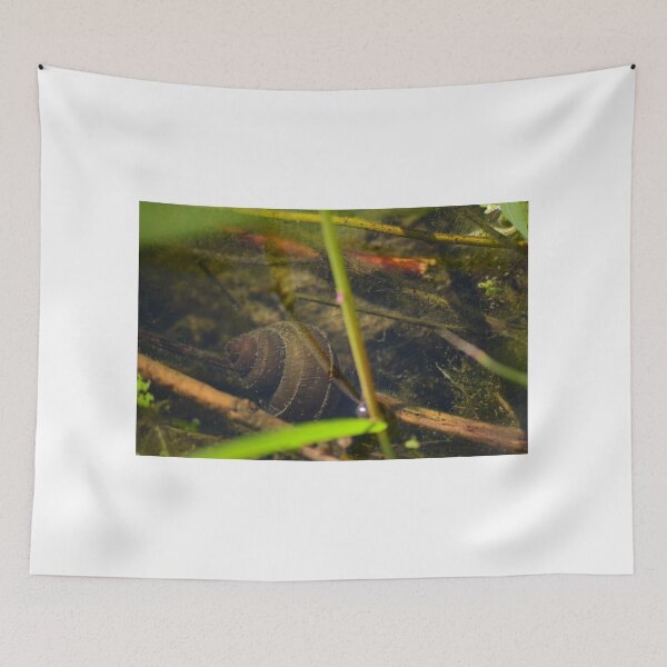 Item preview, under water snail designed and sold by enchantedvibes.