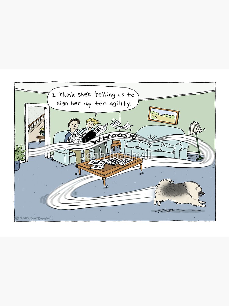 Keeshond Agility Dog Cartoon