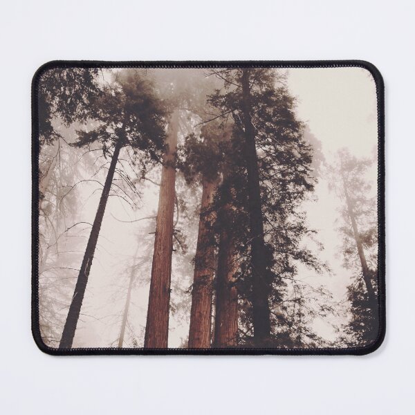 Item preview, Winter Sequoias designed and sold by Ali Prater.