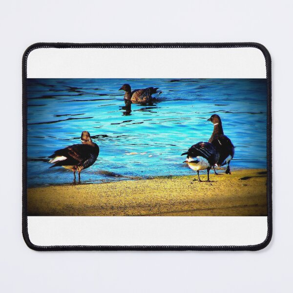 Item preview, Wild ducks designed and sold by ART22.