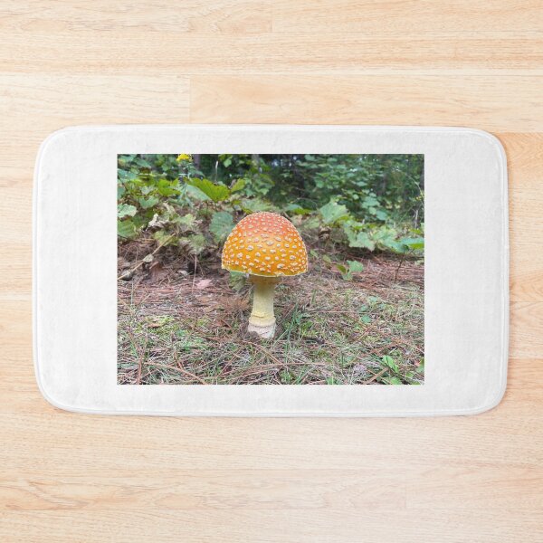 Item preview, Toad stool  designed and sold by NaturebyAdamV.
