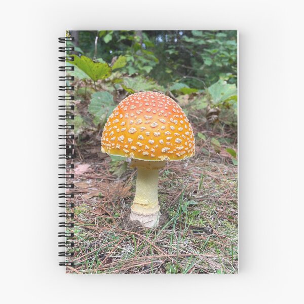 Item preview, Toad stool  designed and sold by NaturebyAdamV.