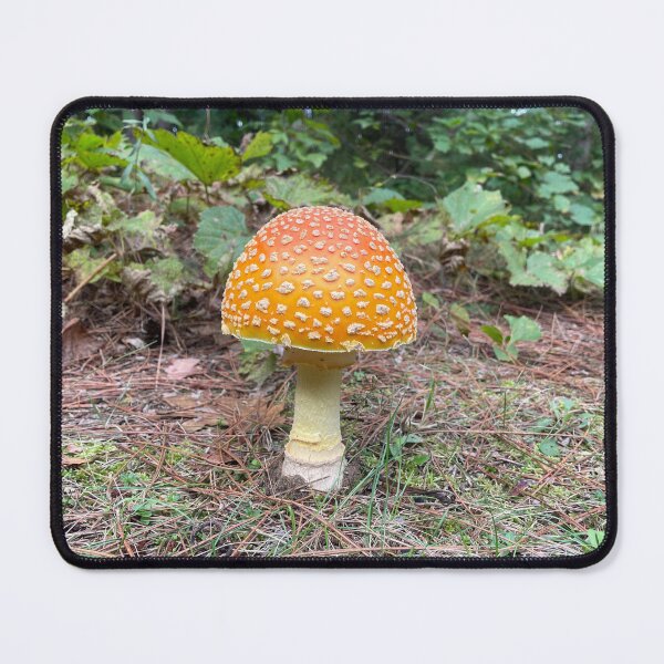 Item preview, Toad stool  designed and sold by NaturebyAdamV.