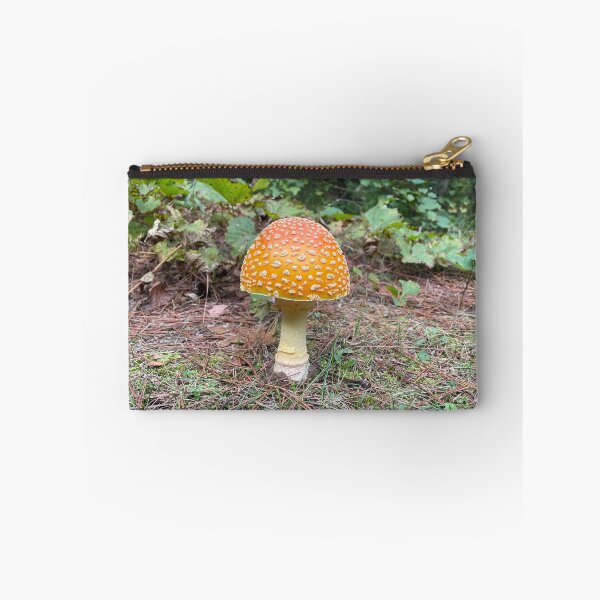Item preview, Toad stool  designed and sold by NaturebyAdamV.