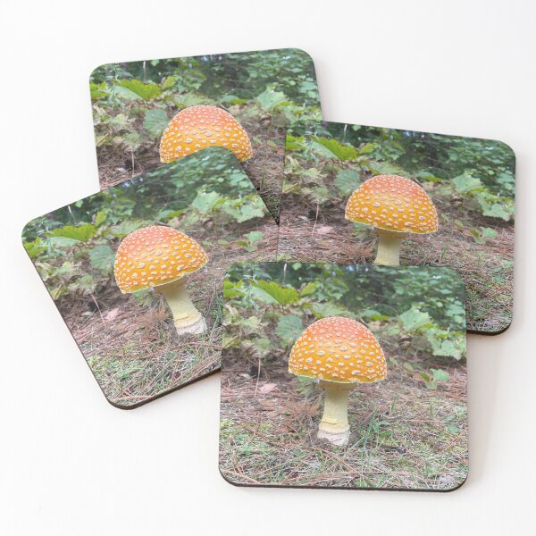 Item preview, Toad stool  designed and sold by NaturebyAdamV.
