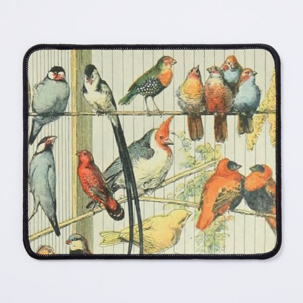 Item preview, Birds Socializing - Millot Oiseaux Vintage Illustration designed and sold by molamode.