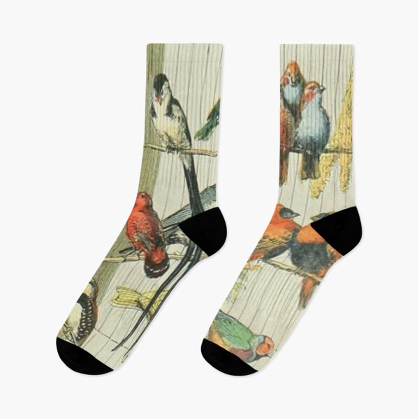 Item preview, Birds Socializing - Millot Oiseaux Vintage Illustration designed and sold by molamode.