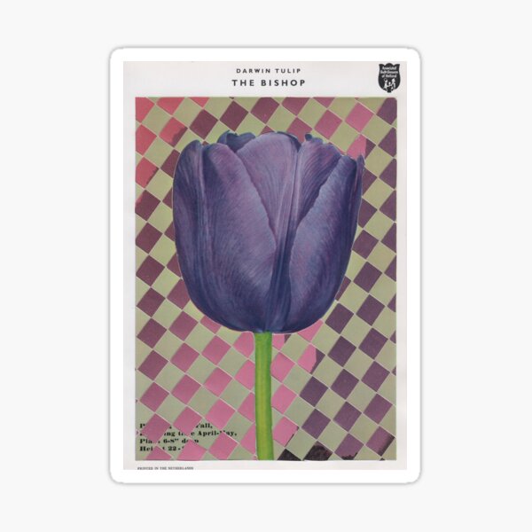 la tulipe évêque Sticker