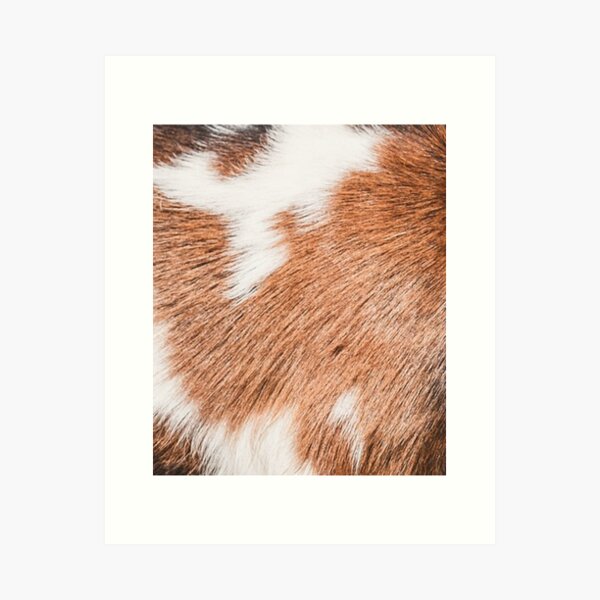 Goat Fur Art Prints for Sale