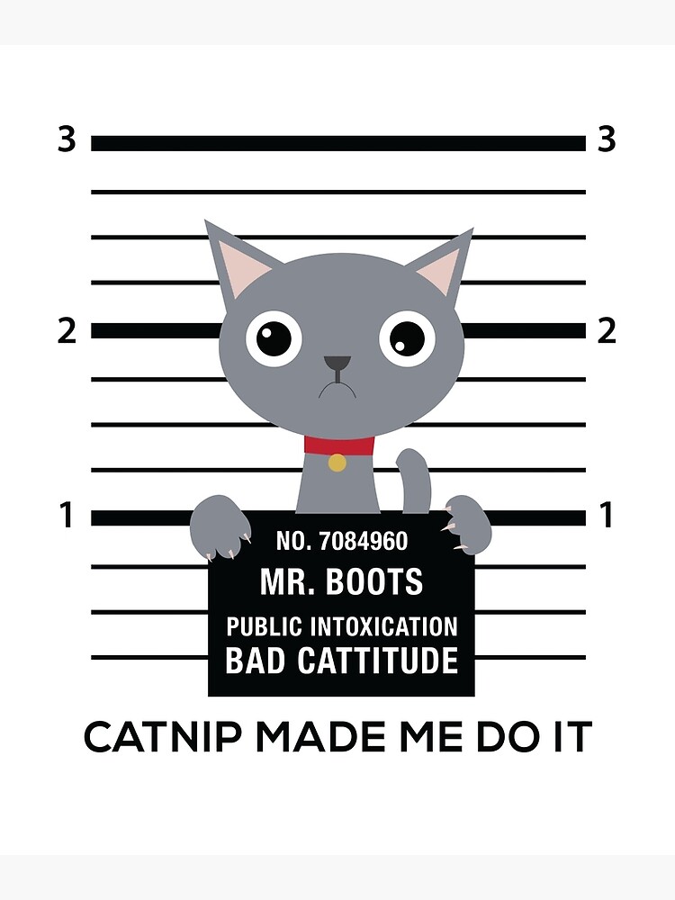 catnip made me do it shirt