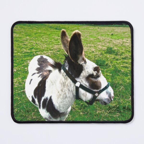 Item preview, My best profile designed and sold by Shulie1.