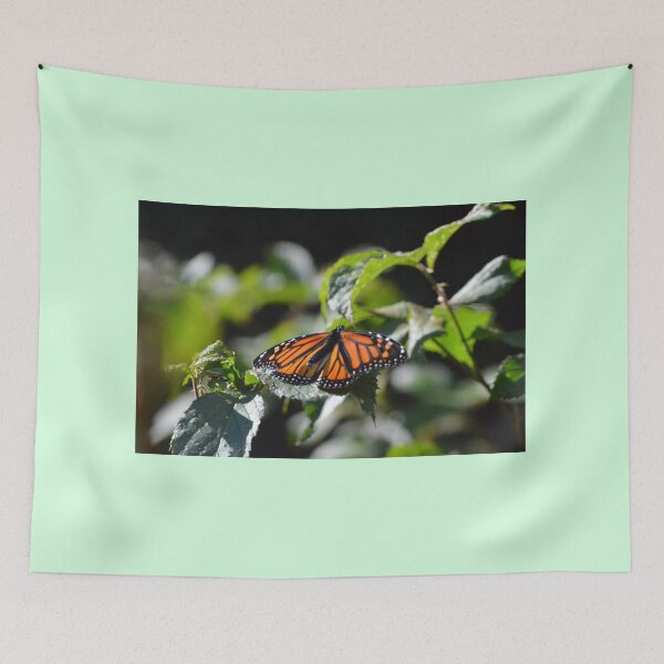 Item preview, Monarch on raspberry leaves designed and sold by enchantedvibes.