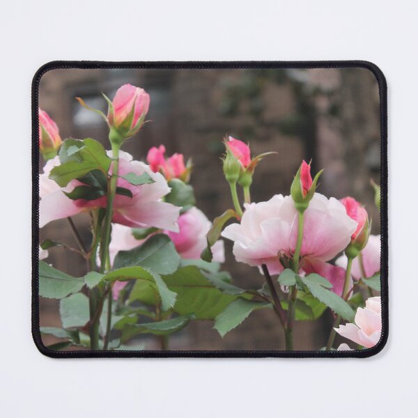 Item preview, Spring Roses designed and sold by Dru Green.