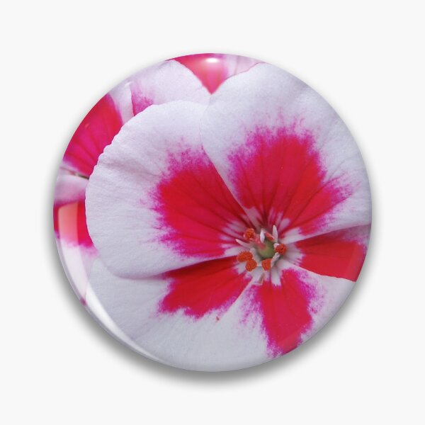 Item preview, blossom of pelargonium designed and sold by AlinNova.