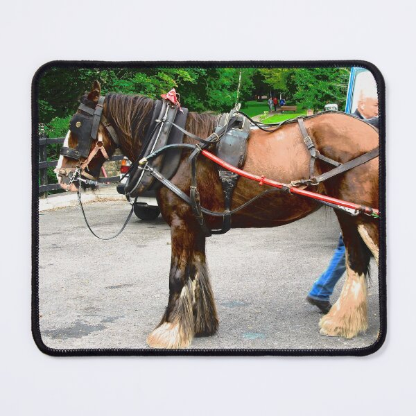Item preview, Patient Horse designed and sold by Shulie1.