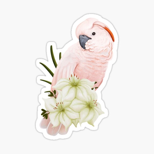 Item preview, Moluccan Cockatoo designed and sold by dart frog.