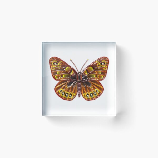 Item preview, Color plastic butterfly designed and sold by Elonium.