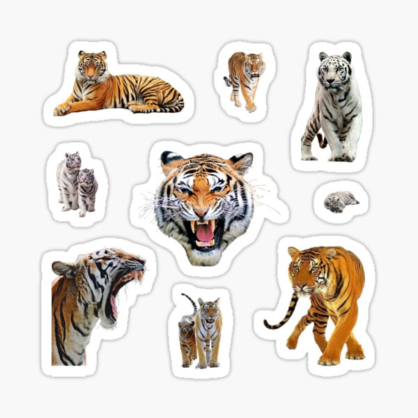 Vista previa del artículo con la obra «manada de tigres», diseñado y vendido por starseedgems.
