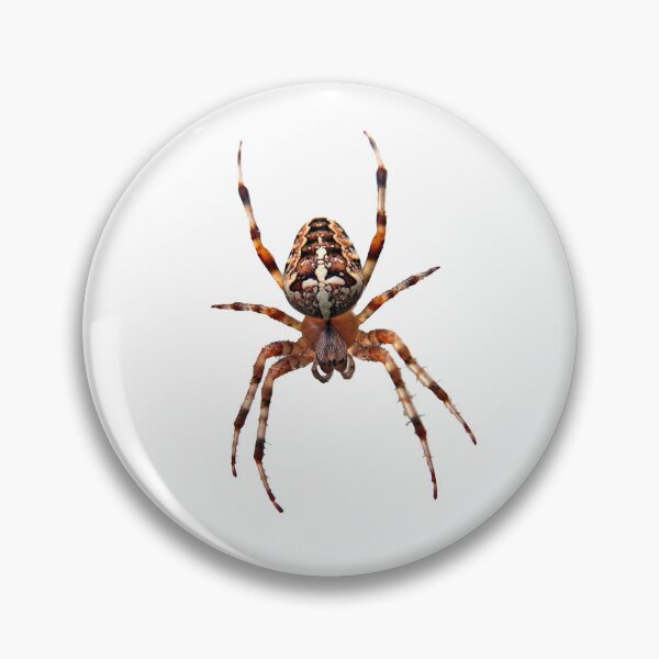 Item preview, Arachnid designed and sold by MorningFive.