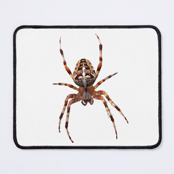 Item preview, Arachnid designed and sold by MorningFive.