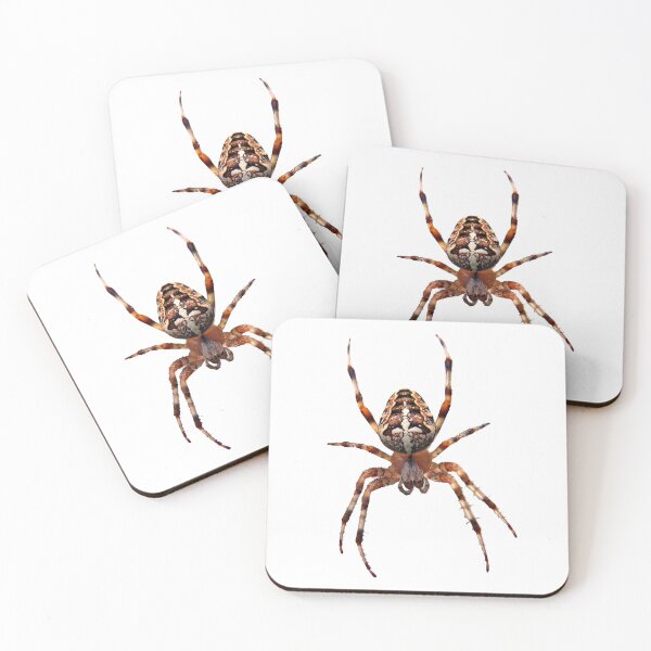 Item preview, Arachnid designed and sold by MorningFive.