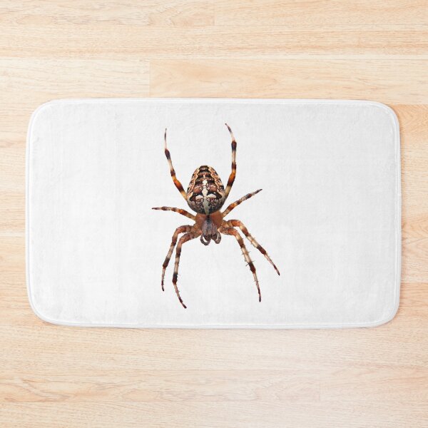 Item preview, Arachnid designed and sold by MorningFive.